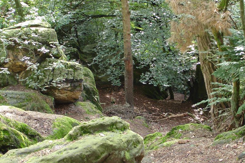 07 D 014.JPG